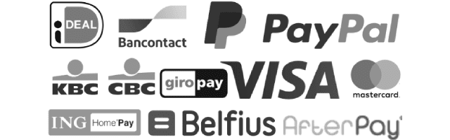 Logo’s van de betaalwijzen voor de typecursus: iDeal VISA MasterCard PayPal Riverty