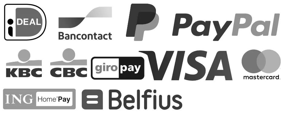 Logo’s van de betaalwijzen voor de typecursus: iDeal VISA MasterCard PayPal Riverty