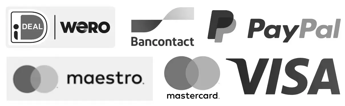 Logo’s van de betaalwijzen voor de typecursus: iDeal VISA MasterCard PayPal Riverty